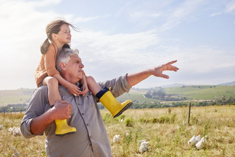 Grandfather carrying granddaughter on shoulders, pointing into the distance on a sunny field with chickens.